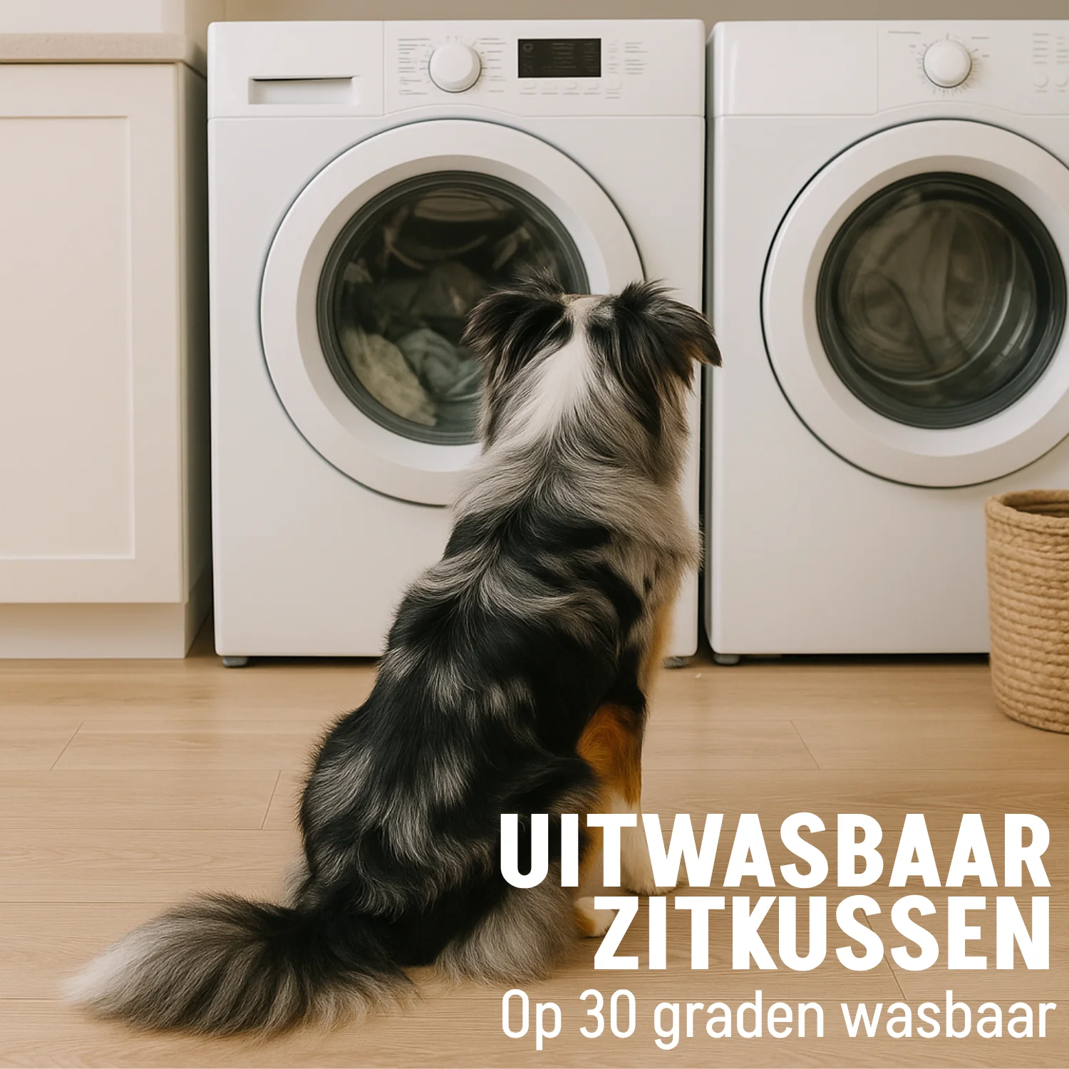 By Cee Cee Hondenmand Teddy Middelgrote honden - Image 5