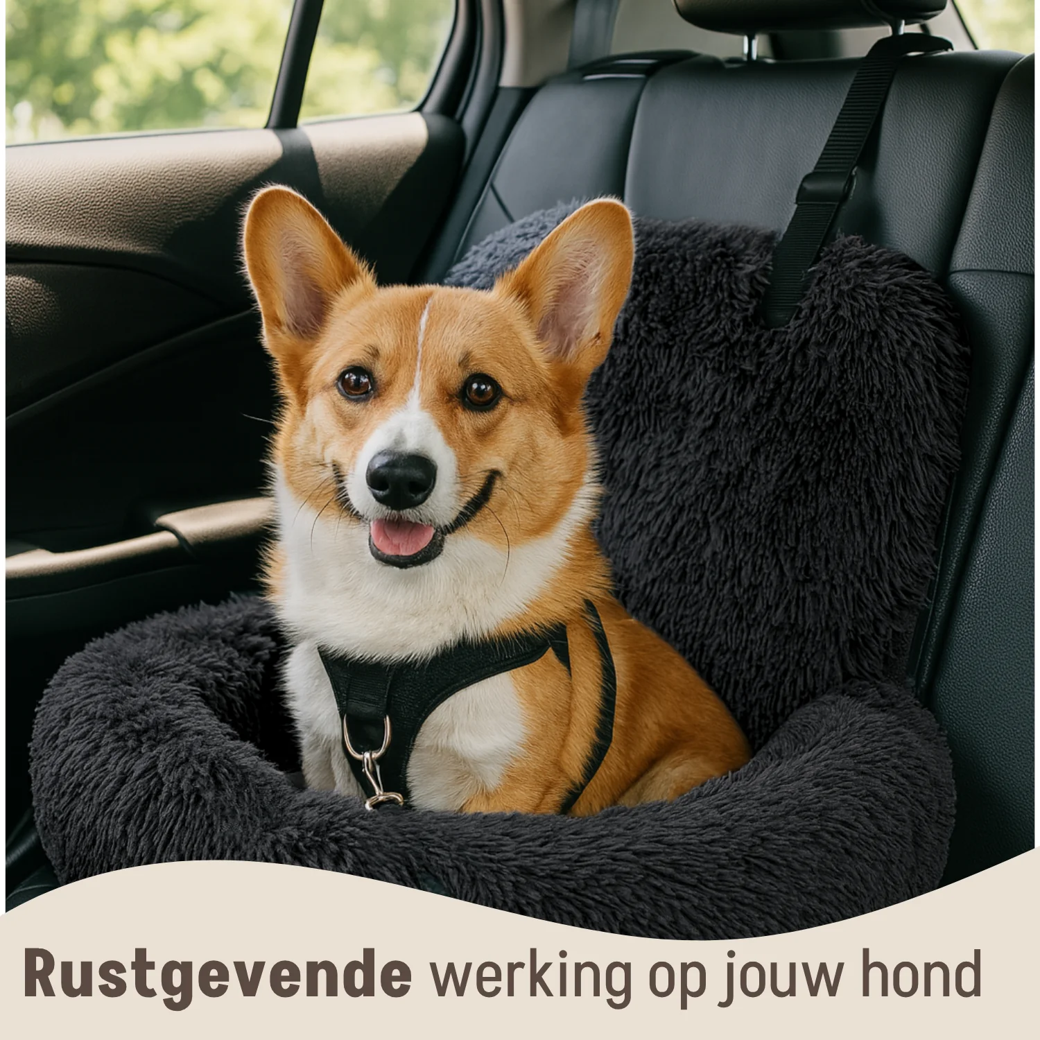 Autostoel Fluffy - De Ideale Hondenstoel Voor Onderweg - Image 32