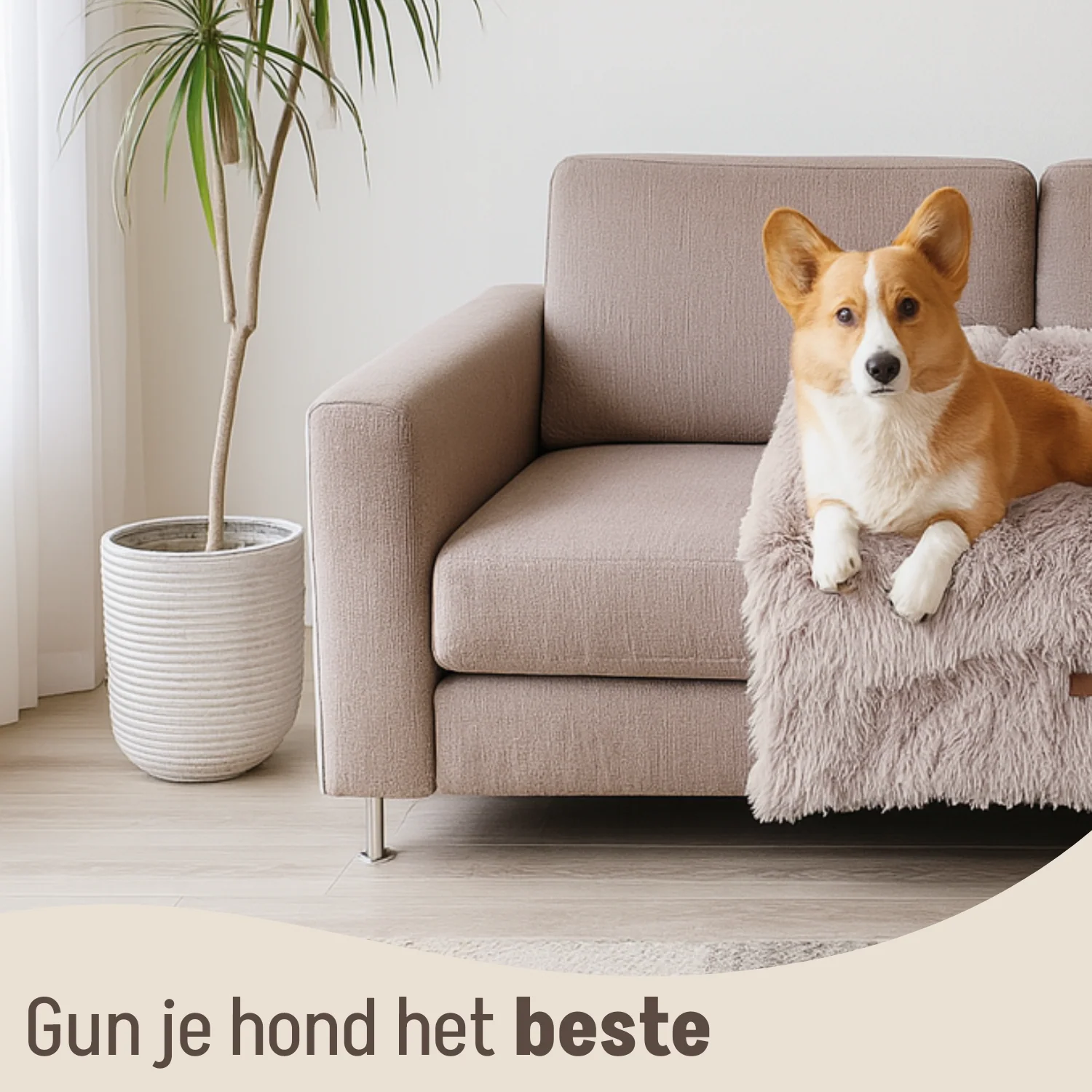 By Cee Cee Fluffy Hondendeken Bank - Image 18