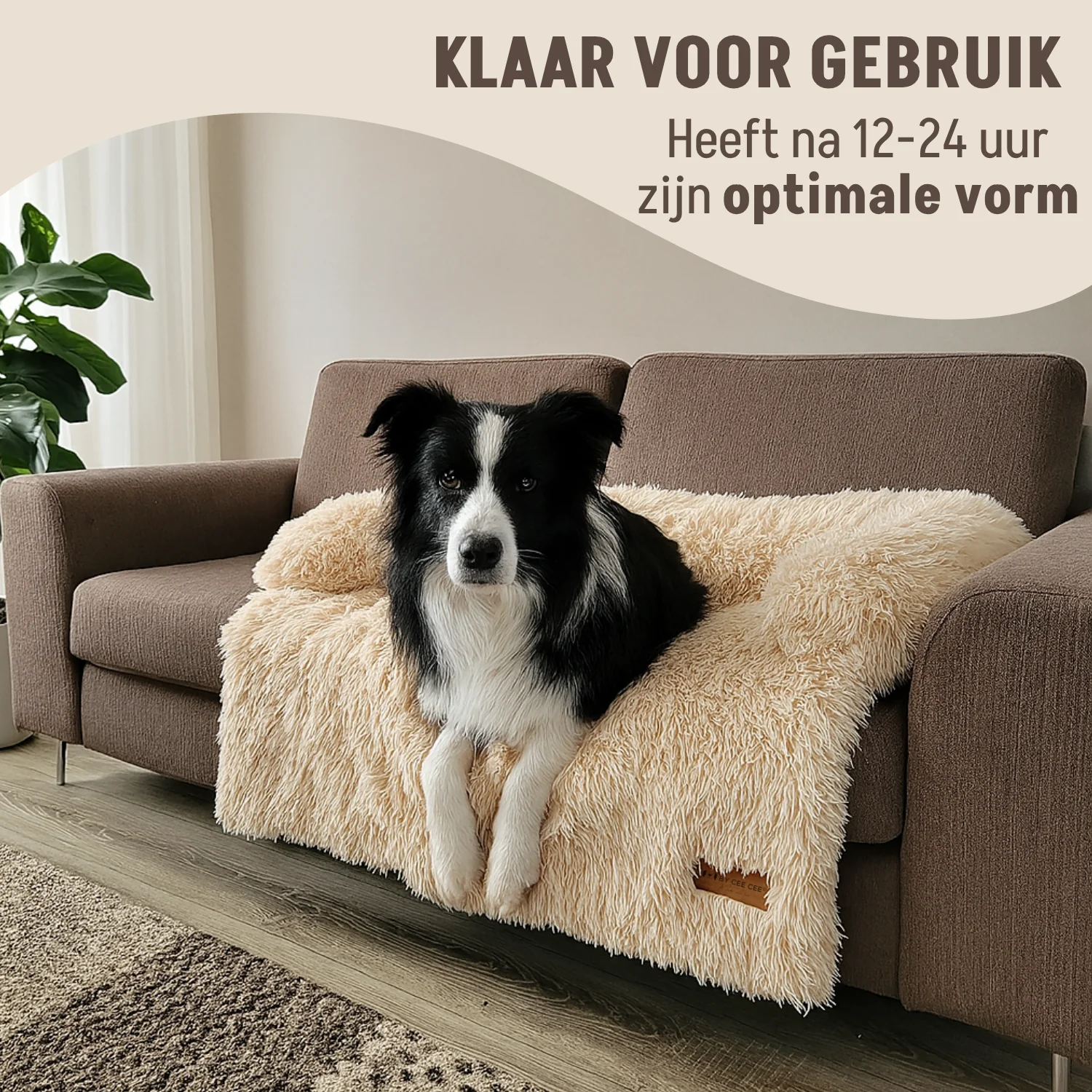By Cee Cee Fluffy Hondendeken Bank - Image 40