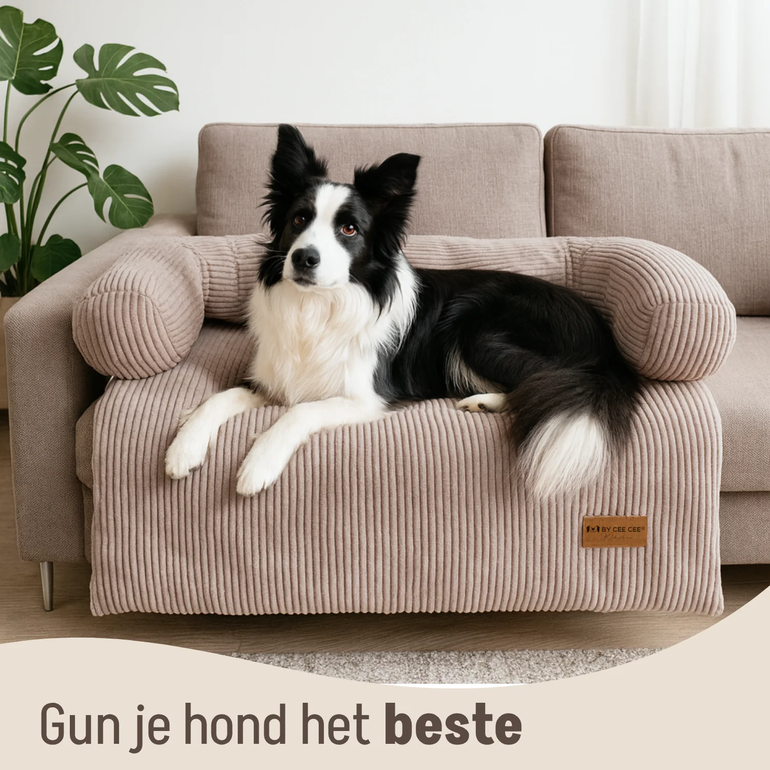 By Cee Cee Hondendeken Bank Ribstof - Image 74