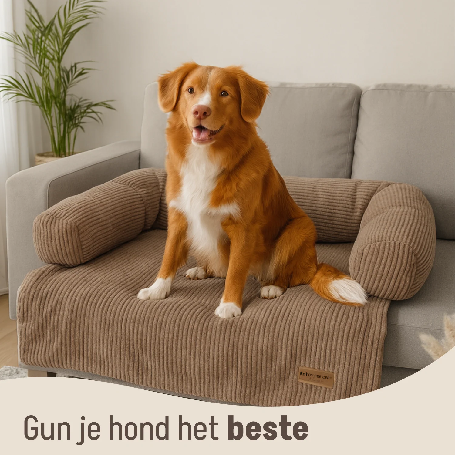 By Cee Cee Hondendeken Bank Ribstof - Image 94