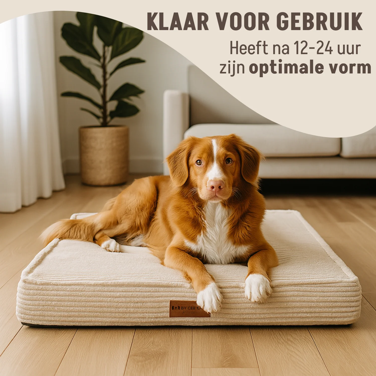 By Cee Cee Origineel Orthopedisch Hondenkussen Ribstof 100x70cm - Image 6