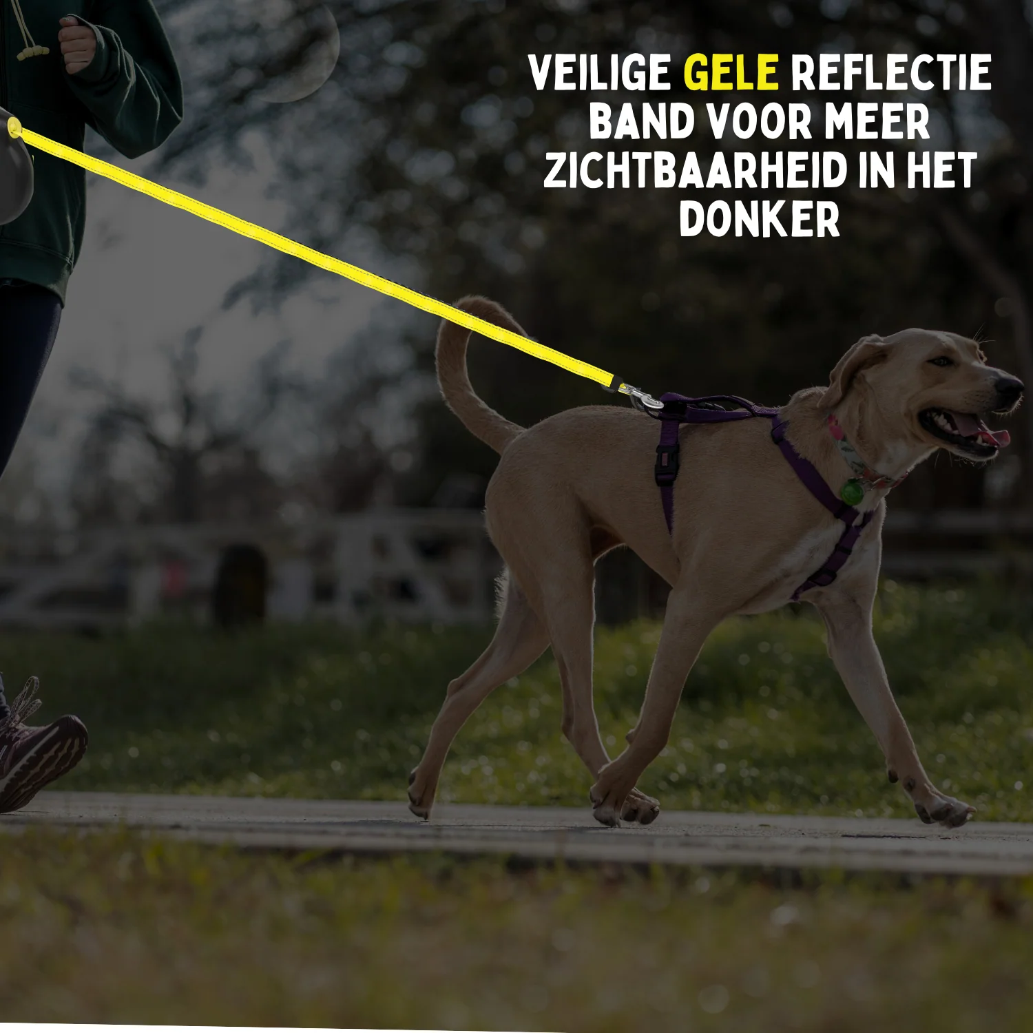 By Cee Cee Hondenriem 8 Meter - Looplijn voor Hond Tot 50KG - NIEUW! - Image 6
