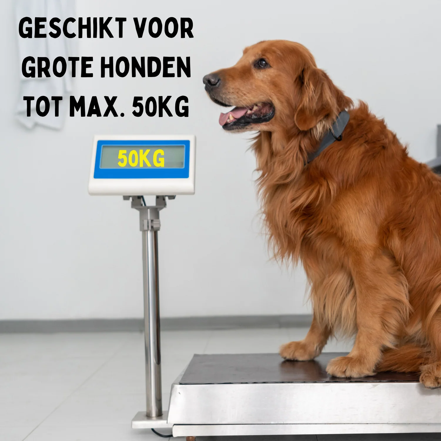 By Cee Cee Hondenriem 8 Meter - Looplijn voor Hond Tot 50KG - NIEUW! - Image 8