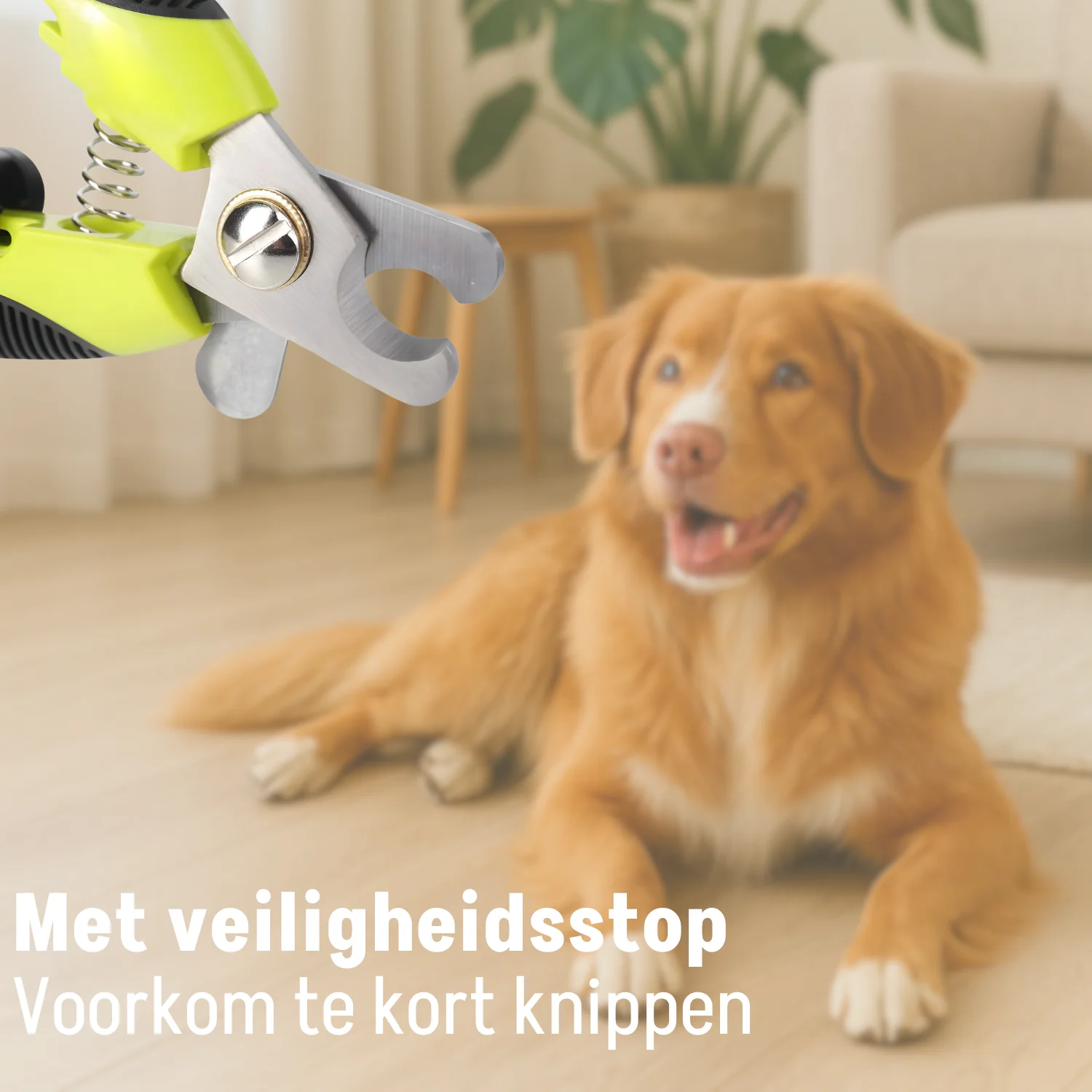 Kammen, Borstels en Nagelknippers - Image 33