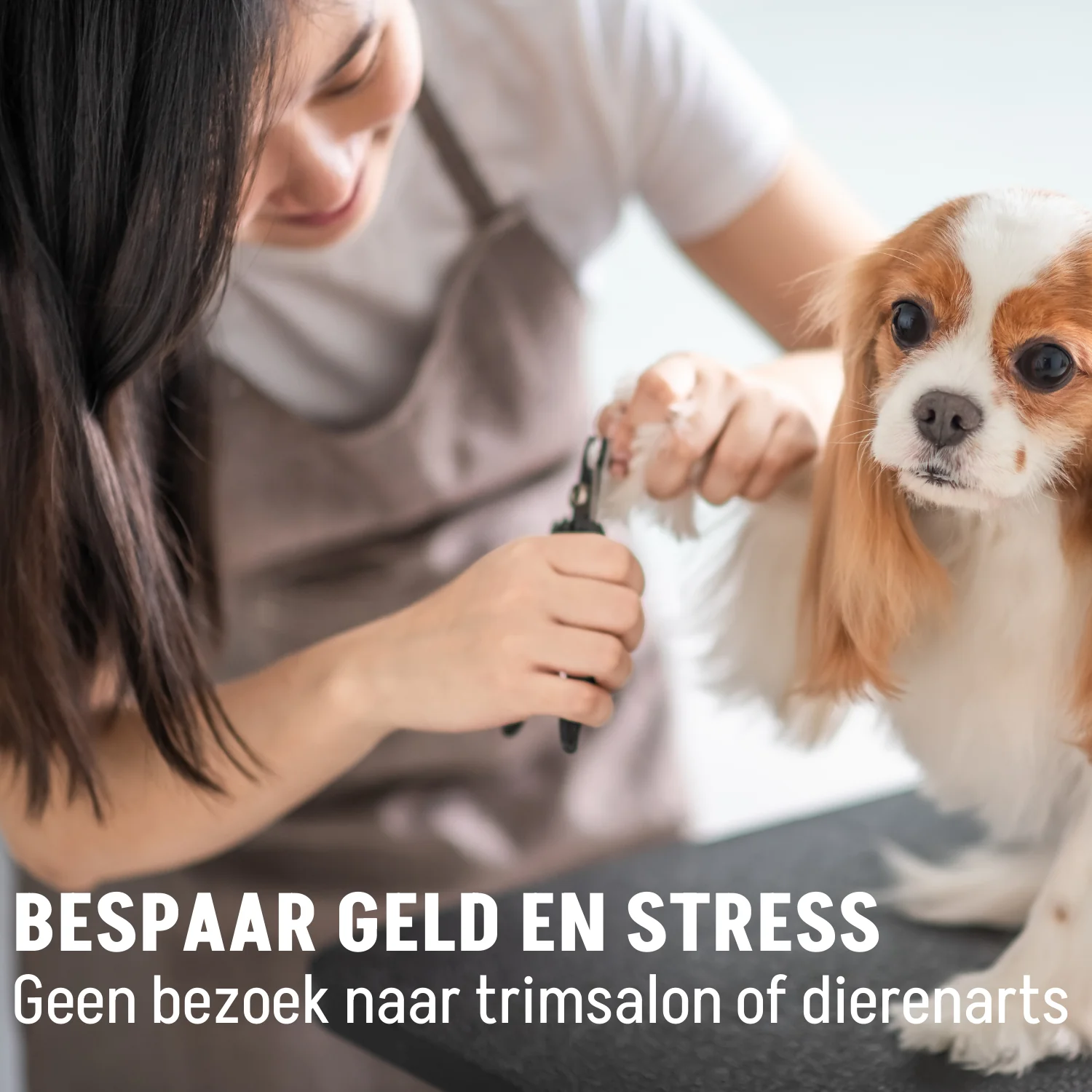 Kammen, Borstels en Nagelknippers - Image 37