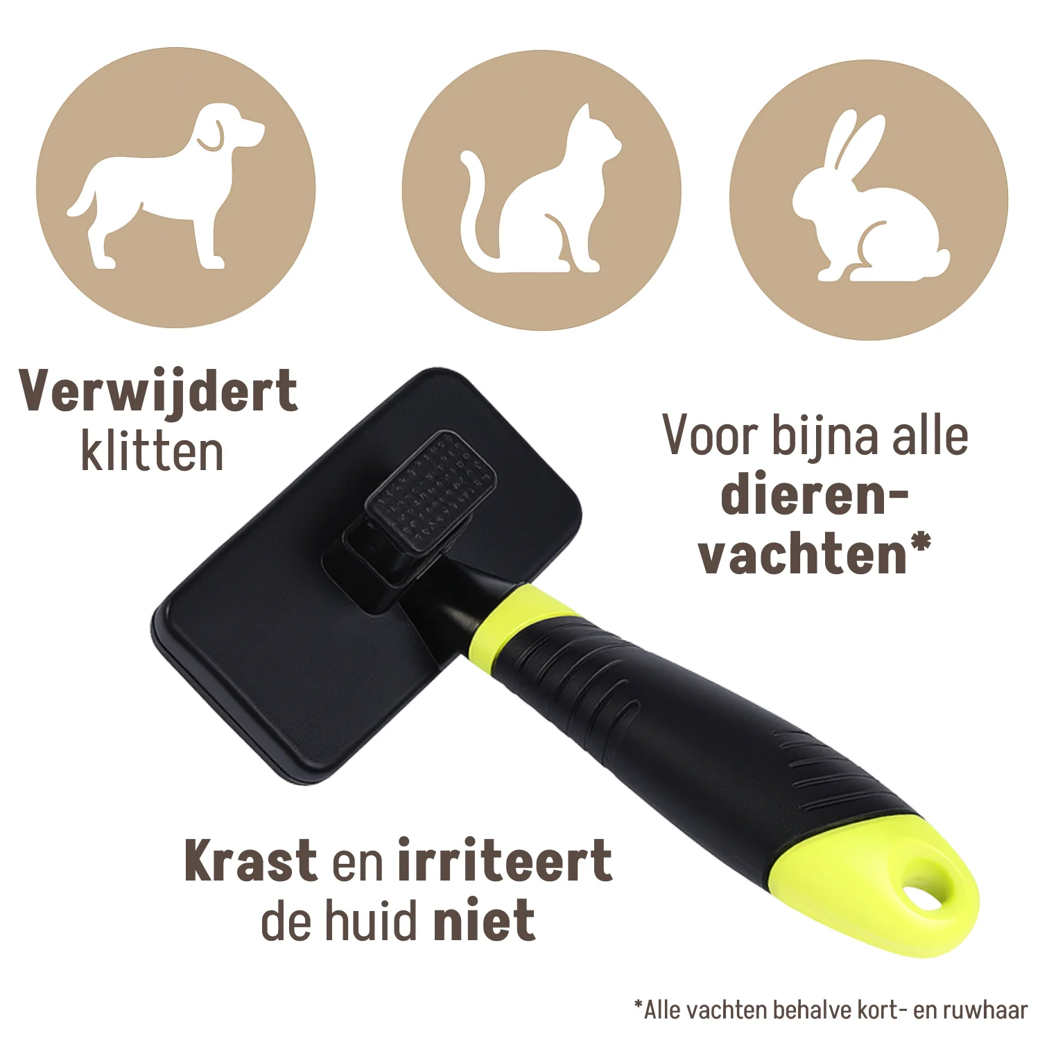 Kammen, Borstels en Nagelknippers - Image 5